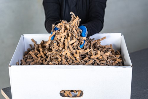 Verpakkingschipmachine HSM ProfiPack ecoChip incl. adaptieset-1