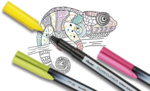 Fineliner Pentel Pointliner S40-A fijn zwart-1