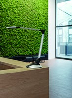 Bureaulamp MAUL Optimus LED dimbaar voet zilver-1