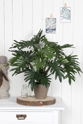 Kunstplant Mica Philodendron selloum groen in pot Ø60cm 50cm-1