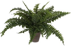 Kunstplant Mica Boston varen groen in pot Ø50cm 42cm