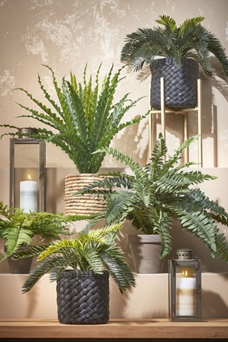 Kunstplant Mica Boston varen groen in pot Ø50cm 42cm-3