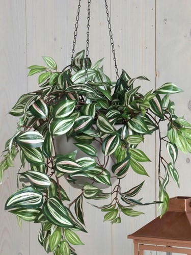 Kunstplant Mica Tradescantia hangend groen Ø25 45cm-2