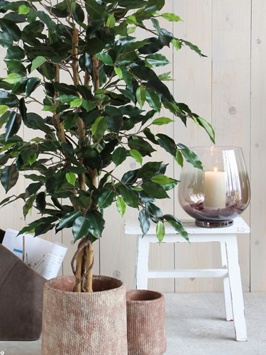 Kunstplant Mica Ficus groen in plastic pot Ø85 150cm-3
