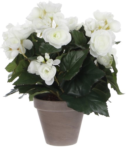 Kunstplant Mica Begonia wit in pot Stan grijs Ø25 30cm