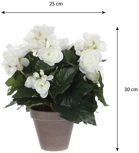 Kunstplant Mica Begonia wit in pot Stan grijs Ø25 30cm-1