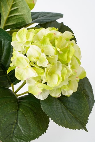 Kunstplant Mica Hortensia in pot groen Ø35 40cm-2