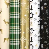 Inpakpapier Winter Glow 200x70cm assorti-2