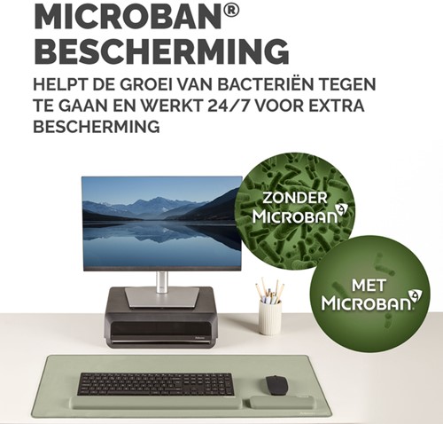 Polssteun Fellowes Breyta palm saliegroen-2