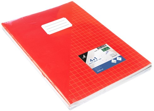 Schrift Kangaro A4 ruit 10mm 80 pagina's 60gr assorti pak  à 5 stuks-2