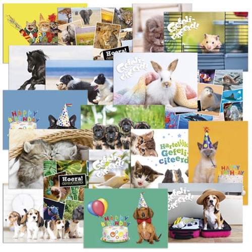 Beloningsposter-kaart De Stulp  thema dieren A4 assorti