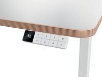 Zit-sta bureau Leitz Ergo elektrisch 120x70cm-1