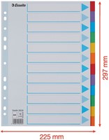 Tabbladen Esselte Standaard A4 12-delig karton 11-rings met voorblad assorti-5