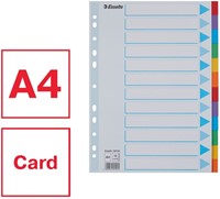 Tabbladen Esselte Standaard A4 12-delig karton 11-rings met voorblad assorti-3