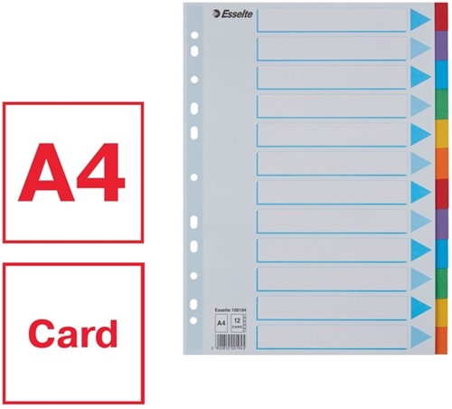 Tabbladen Esselte Standaard A4 12-delig karton 11-rings met voorblad assorti-6