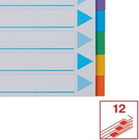 Tabbladen Esselte Standaard A4 12-delig karton 11-rings met voorblad assorti-1