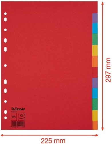 Tabbladen Esselte Economy A4 12-delig karton 11-rings assorti-2