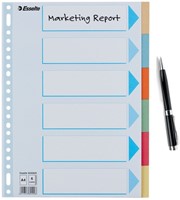 Tabbladen Esselte Premium A4 6-delig karton 23-rings assorti-12