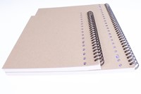 Collegeblok Multo A4 ruit 10x10mm 23-gaats 160 pagina's 80gr wit-1