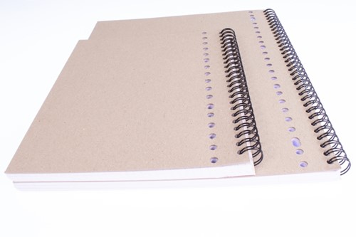 Collegeblok Multo A4 ruit 10x10mm 23-gaats 160 pagina's 80gr wit-1