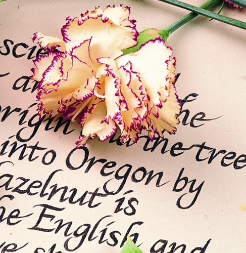 Fineliner Staedtler Pigment 308 zwart 0.1mm-3