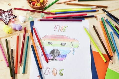 Kleurpotloden STABILO 979 color assorti kartonnen etui à 12 stuks-1