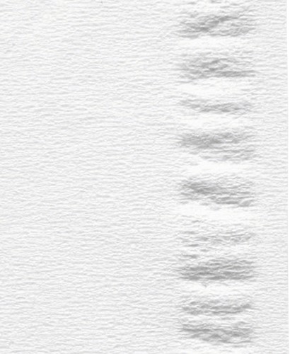 Facial tissues Satino 2-laags 100 vel wit 206450-3