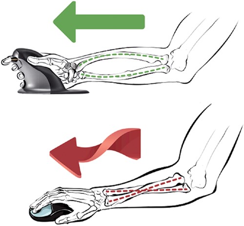 Ergonomische muis Fellowes Penguin draadloos large-3