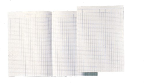 Accountantspapier Djois Atlanta folio 14 kolommen 100vel