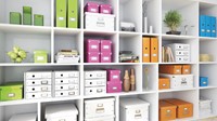 Opbergdoos Leitz Wow Click & Store organiser 280x100x370mm middel gerecycled karton zwart-2