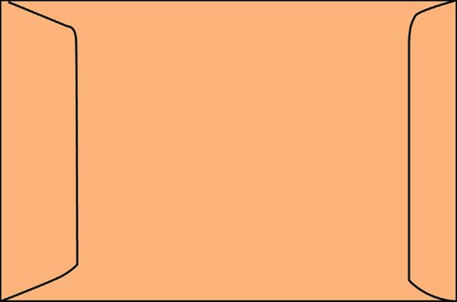 Envelop Quantore akte EB4 262x371mm bruinkraft 250 stuks-3