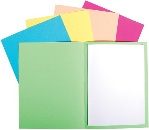 Vouwmap Exacompta Forever A4 170gr assorti 100 stuks