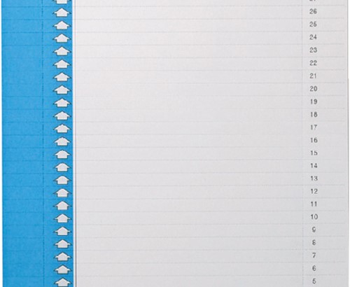 Ruiterstrook Elba Nr 0 297x6mm verticaal blauw 10 vel