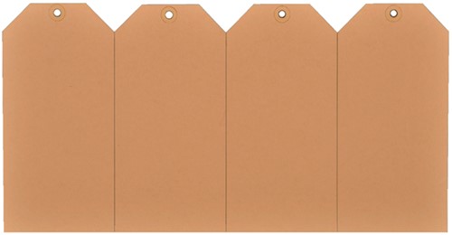 Label karton nr 6 200gr 60x120mm chamois 1000 stuks-2
