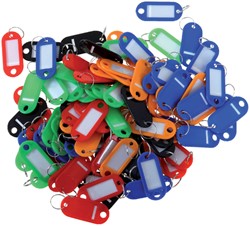 Sleutellabel Pavo kunststof assorti 100 stuks