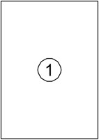 Etiket Avery DP001 210x297 wit 100 stuks-2