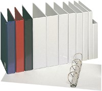 Presentatieringband Esselte panorama A4 4-rings D-mechaniek 20mm PP wit-3
