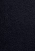 Voorblad Fellowes A4 lederlook zwart 100 stuks-2