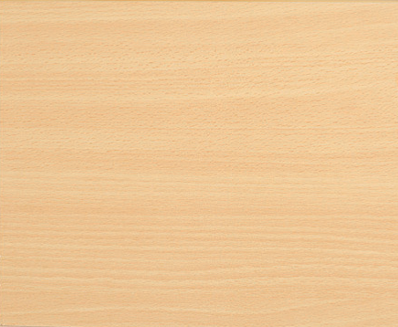 Kieft Eco roldeurkast 100x120x43cm (HxBxD) - Zwart - Beuken-3